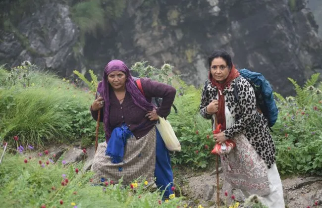 Pilgrim Guest Image 27